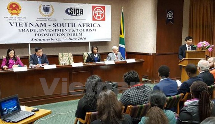 Vietnam, South Africa boost trade, investment, tourism cooperation - ảnh 1